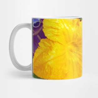 Pumpkin Blossom Mug